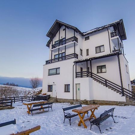 Vila Luca-Hotel Şirnea エクステリア 写真